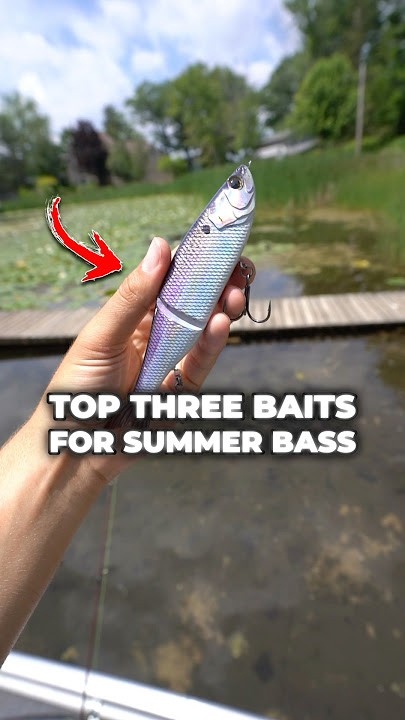 Top 3 BEST Summer Bass Fishing Baits 🎣🔥 #fishing