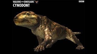 Trilogy Of Life - Walking With Dinosaurs - Thrinaxodon