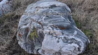 Tule Elk to El Camino Viejo Trail Windwolves 2021