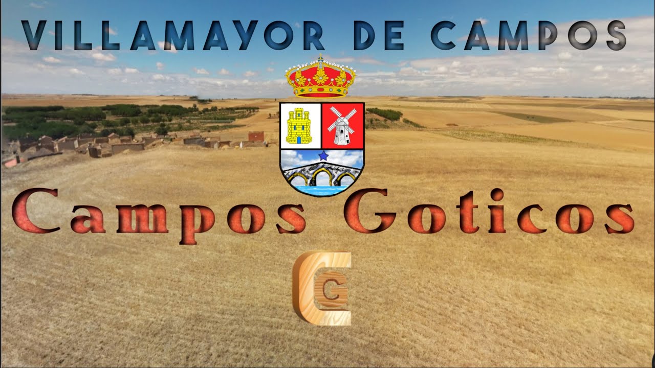 VILLAMAYOR DE CAMPOS. ZAMORA