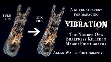 Managing Vibrations in Extreme Macro Photography