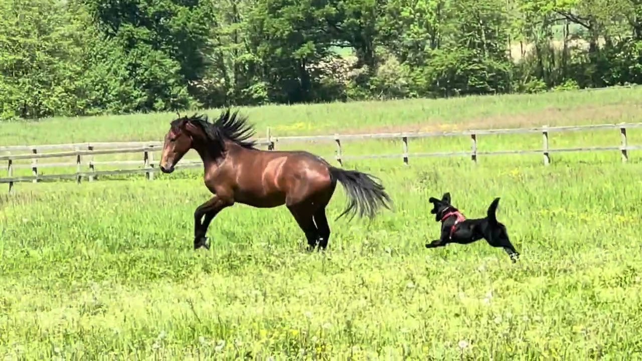 Suspense de Saint-Jean