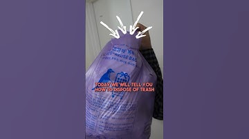 Korea has trash rules! #shorts #koreanculture
