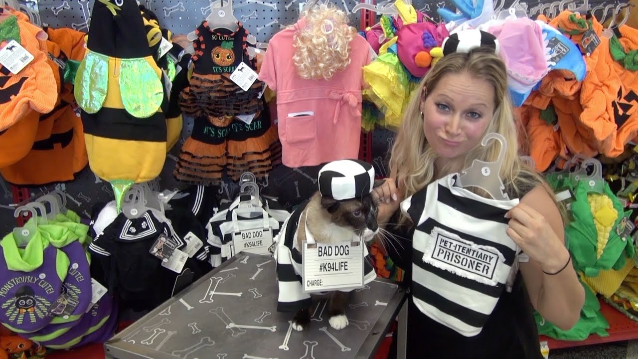 PetcoHalloween BEST PET COSTUMES for HalloweenBetterTogether Petco 