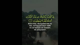 Аль Худжурат Мохамед Самир Мохамед Маджахид