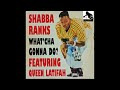 SHABBA RANKS - BEDROOM BULLY 1992