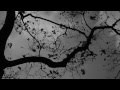 "Sugar" Mini-Film