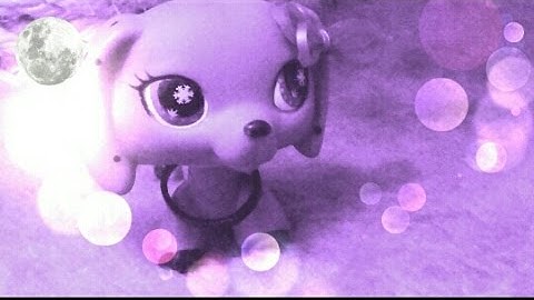 Lps: Begin Again - Music Video