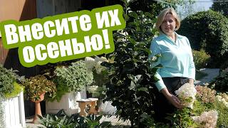 Удобрения осенью: как и что вносить под растения и в почву