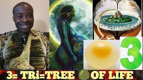 THE NUMBER THREE (3) IS FOR TREE 🌳 THE TRi=TREE OF LIFE - EVANGELIST ADDAI