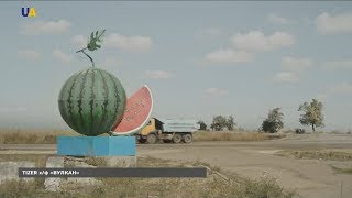 Украина и Германия сняли фильм о переводчике ОБСЕ в Крыму Украина и Германия сняли фильм о переводчике ОБСЕ в Крыму