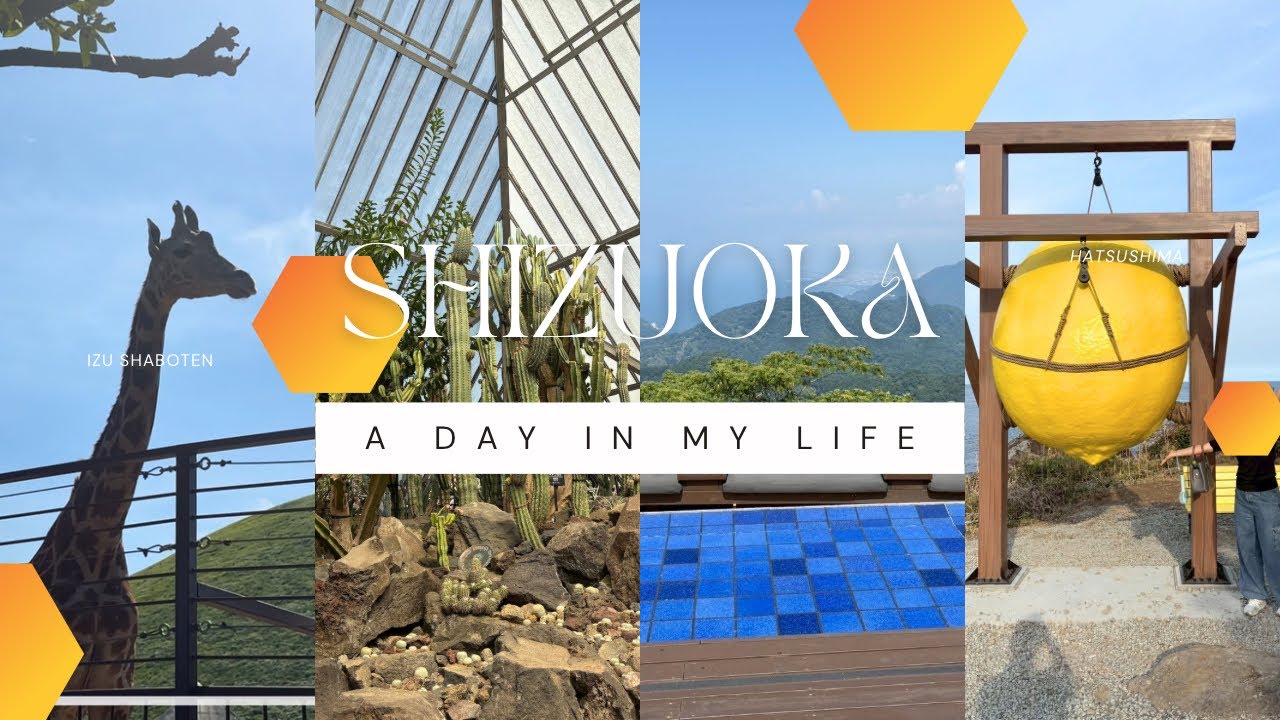 【静岡旅行Vlog】2泊3日初島・熱海・伊豆|エクシブ初島クラブ| 熱海商店街|伊豆シャボテン公園