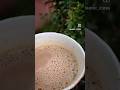 Masala Chai ✨