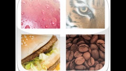 Close Up Pics - Level 6 Answers