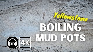Yellowstone Boiling Mud Pots | 4K & Binaural Audio