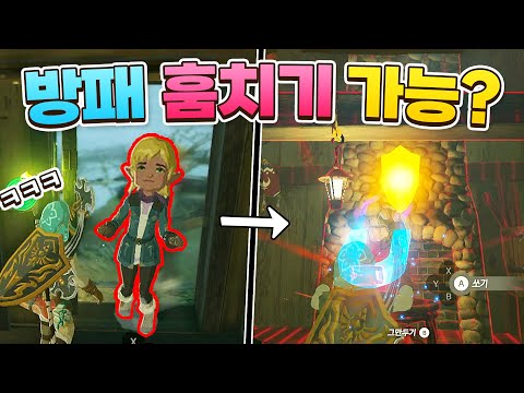 셀미를 집 밖으로 보내면 방패 훔치기 가능할까? (젤다의 전설 야생의 숨결)