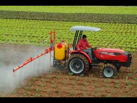 Resultado de imagen para manejo del suelo para la produccion de lechuga
