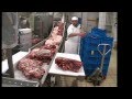 Salami Processing Line with Cutter