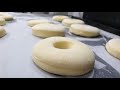 Softest donut recipe  real doughnuts