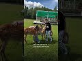 Ловите одно из самых милых мест в Подмосковье