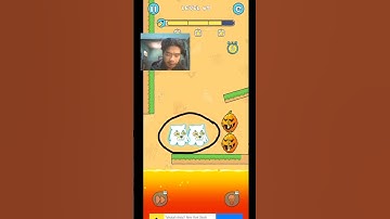 save the doge part 2 level 69 #shorts