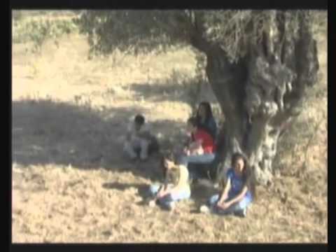 شفاعمرو مجد التاريخ