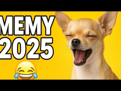   2025   