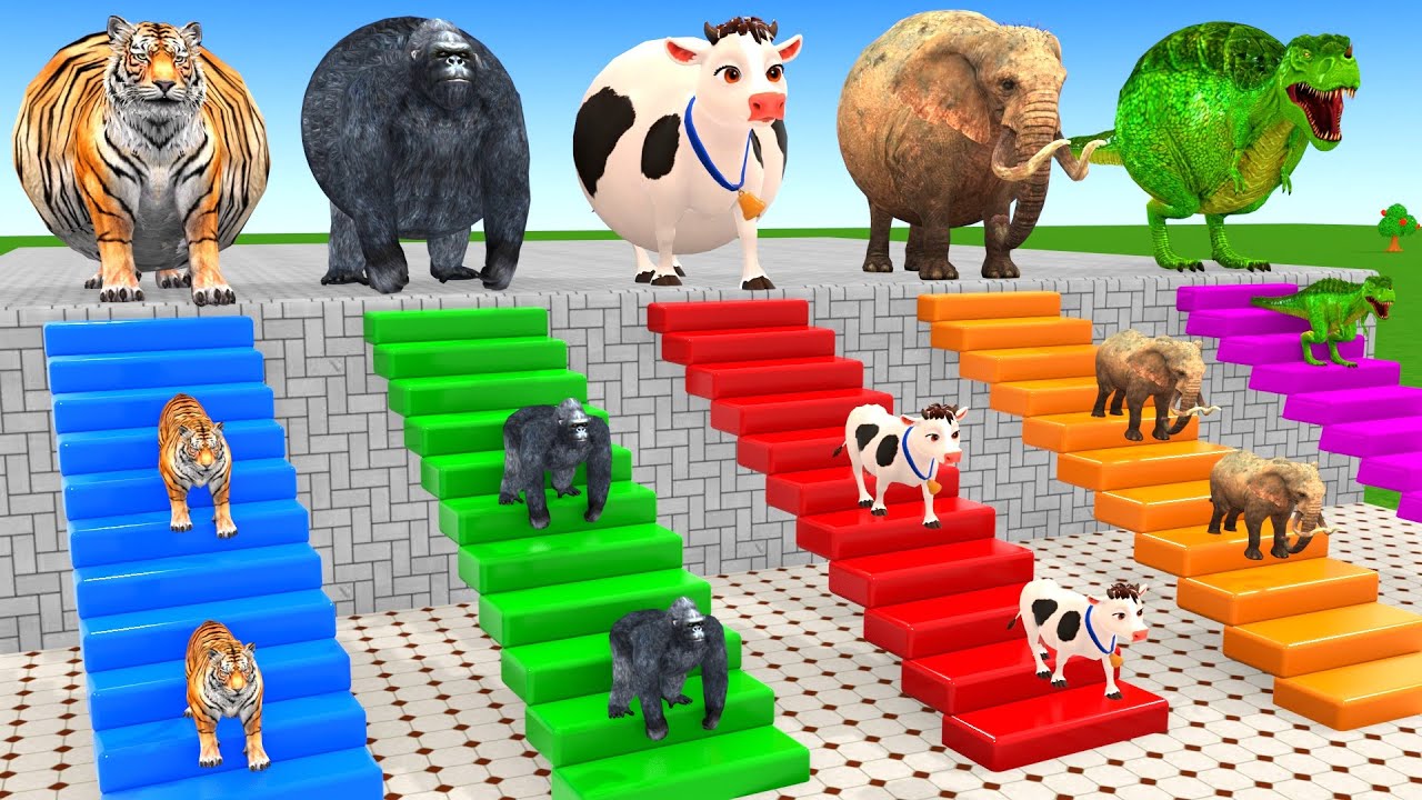 Long Slide Game With Cow Elephant Gorilla Hippopotamus Tiger 3d Animal Game Funny 3d Animals
