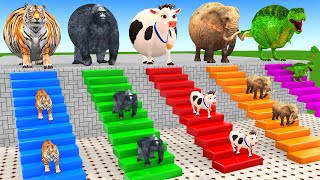 Long Slide Game With Cow Elephant Gorilla Hippopotamus Tiger 3d Animal Game Funny 3d Animals screenshot 3