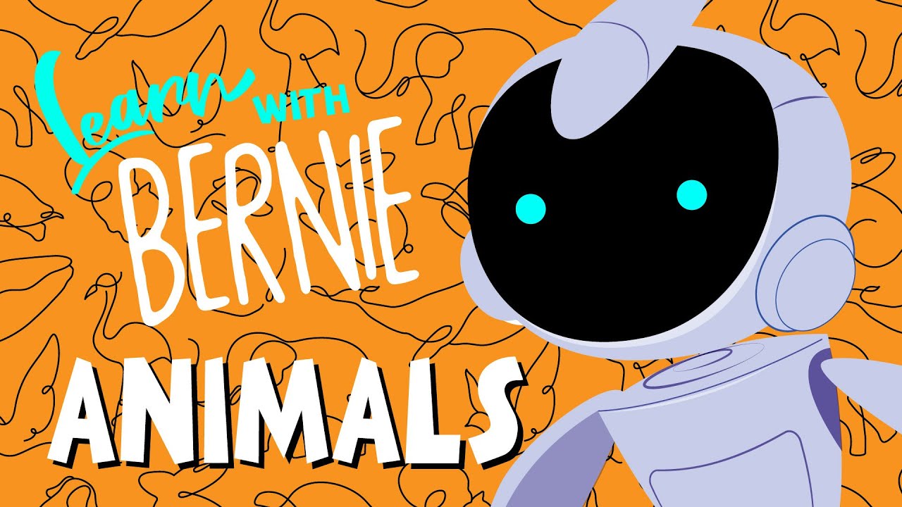 Learn with BERNIE Animals YouTube
