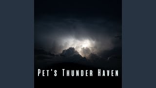 Harmonious Rainy Day for Your Pet