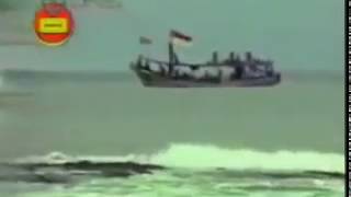 TELUK BAYUR  | Rani Pancarani