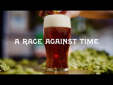 Celebration A Race Against Time 