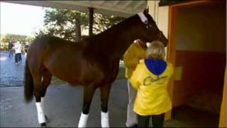 Blame Arrives at Claiborne