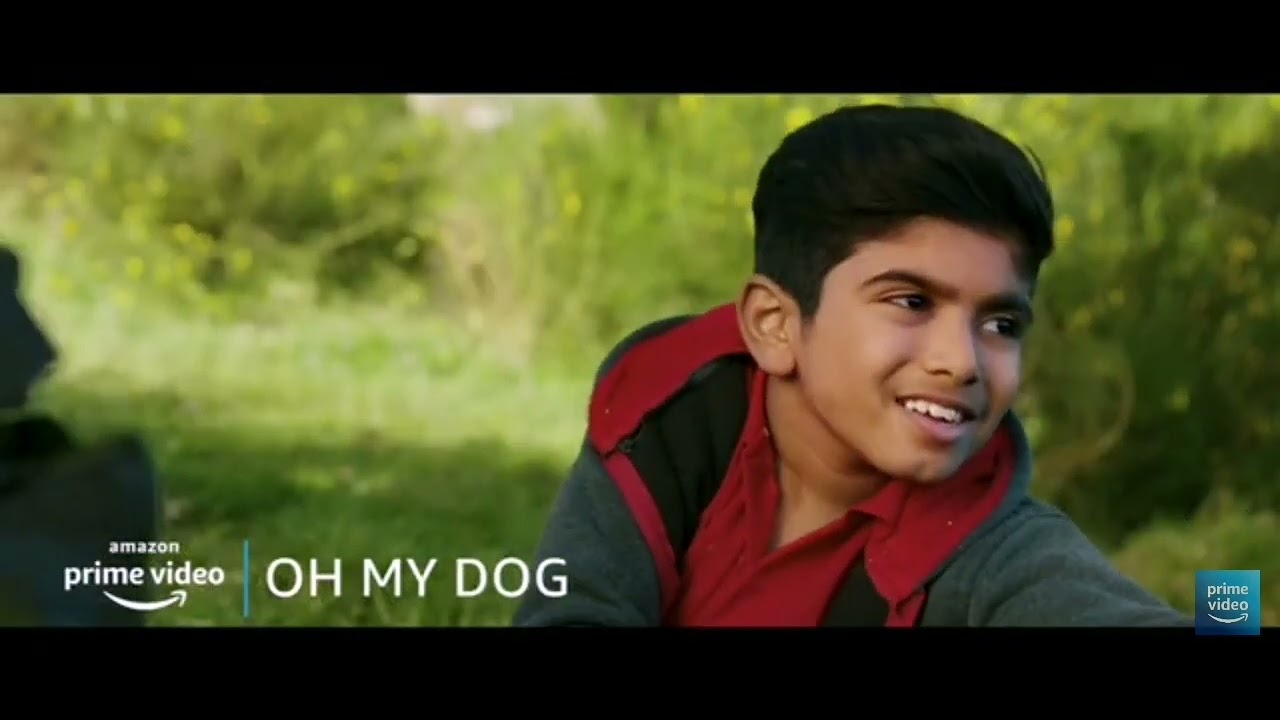 oh my dog movie pies