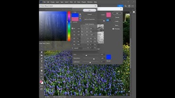 How to replace flower colour in Photoshop