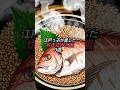 炊き込みご飯が旨そう。カツオだし至上主義!鯛のダシは言語道断!?