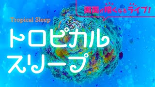 睡眠専用 眠れる森の配信のサムネイル画像