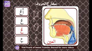 18. Makhārij Al Hurūf  | Makhraj of 'Ayn ع | By Sheikh Ayman Rushdi Seweid