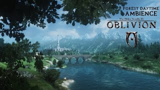 Harvest Dawn  Oblivion Elder Scrolls Forest Daytime Ambience 1 Hour asmr 