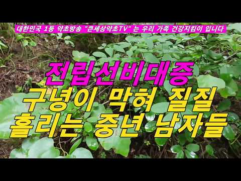 특허 받은 우리 약초, 전립선비대증으로 먹힌분 뻥 뚫어 줍니;다.