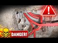 How Roaches Destroy Your Home’s Electrical System ⚡🪳”