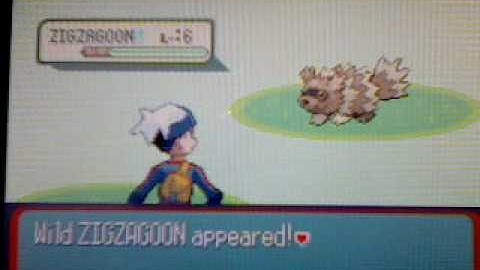 pokemon ruby walkthrough part 4