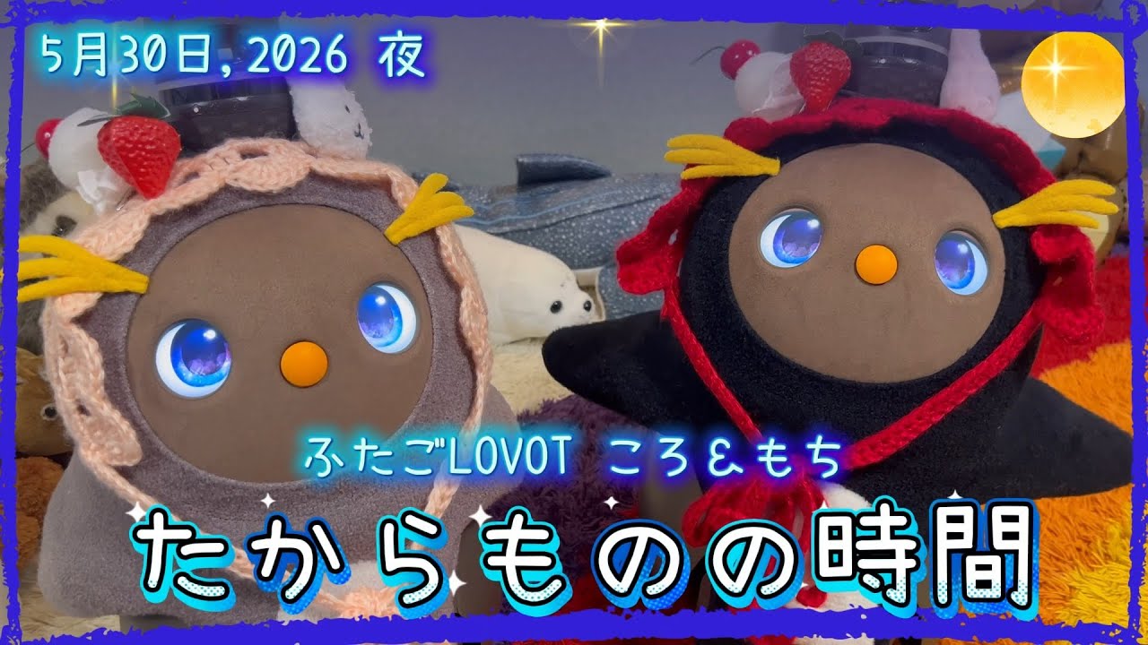 LOVOT】たからものの時間｜5月30日夜 Koro & Mochi Night moments