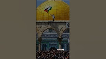 يا ليتني كنت معهم فأفوز فوزاً عظيما..| ماهر المعيقلي | سورة النساء|meal  #gazzaunderattack#filistin