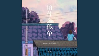 Download lagu 怕什么孤单 (DJEva版)