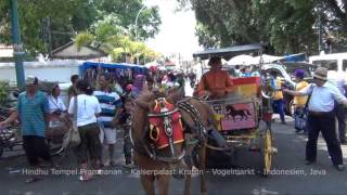 STAFA REISEN Video: Java Rundreise, Indonesien