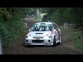 Hellendoorn Rally 2016