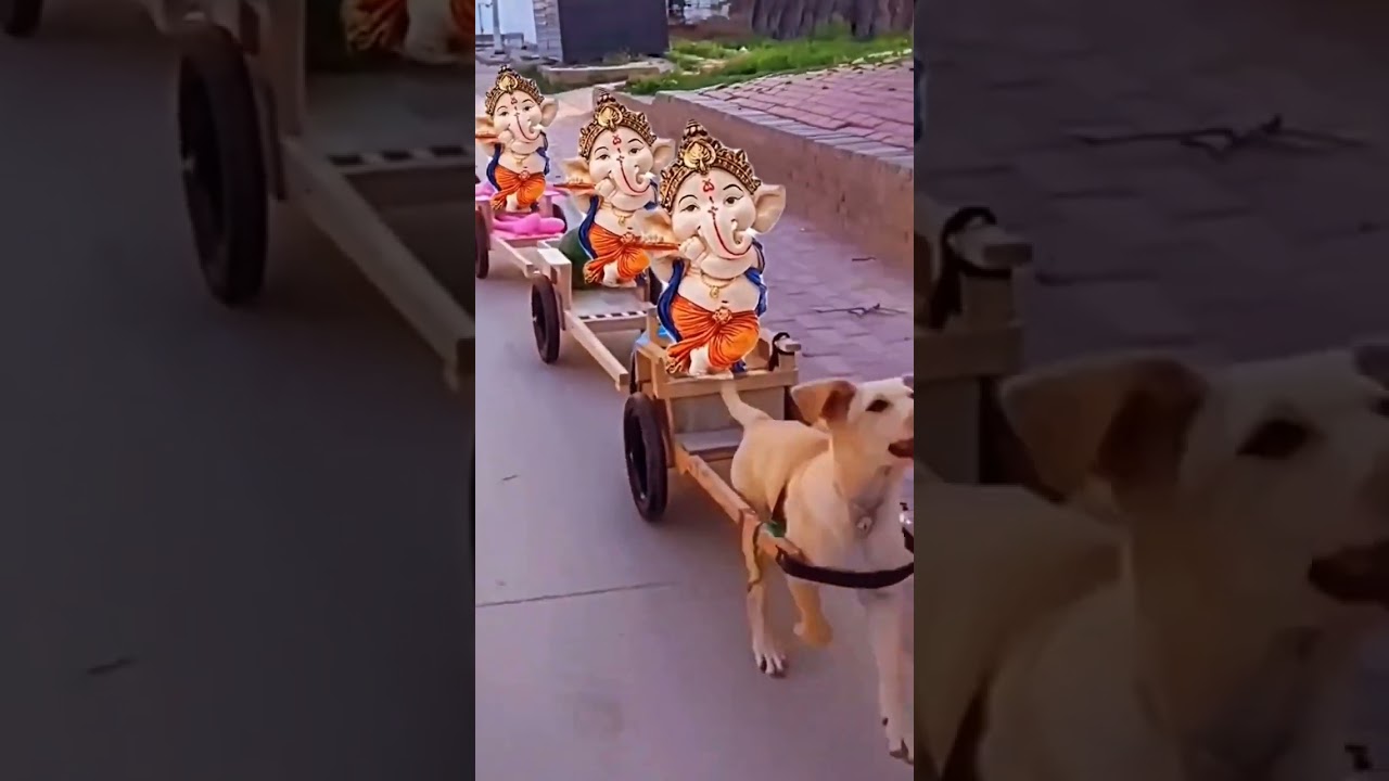 jay ganesh deva 🙏🙏 