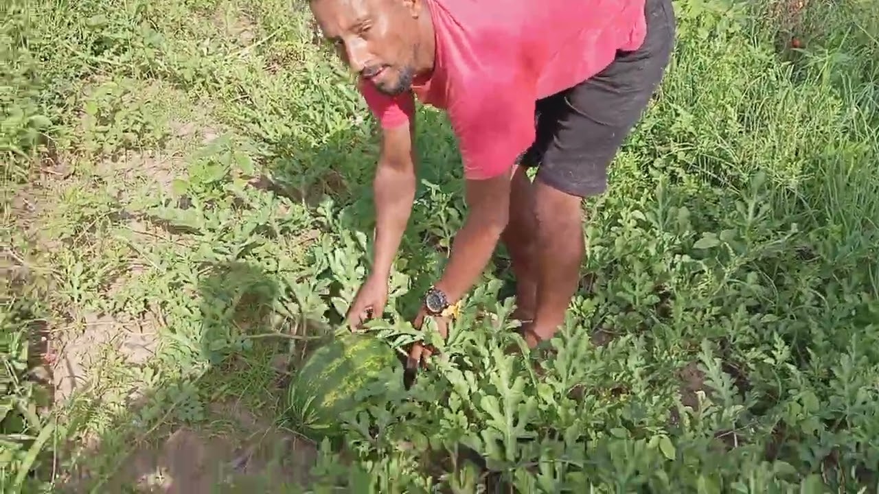 Só resenha galera 🙌 bão demais 
